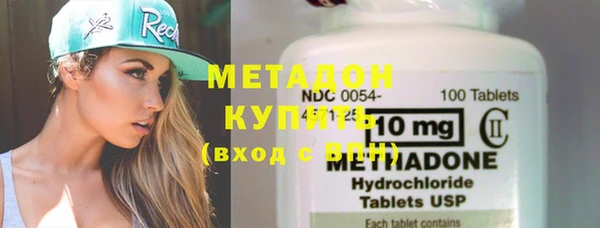 сатива Новозыбков