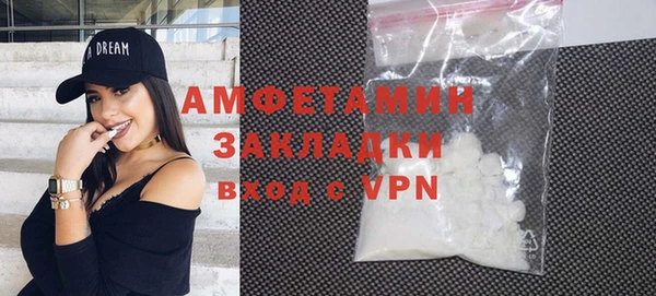 сатива Новозыбков