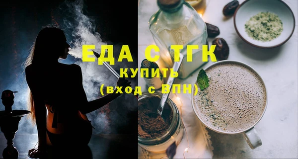 сатива Новозыбков