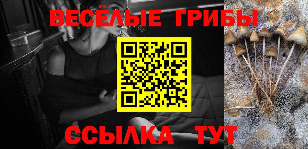 Галлюциногенные грибы Psilocybe  Галлюциногенные грибы Cubensis  Качканар 