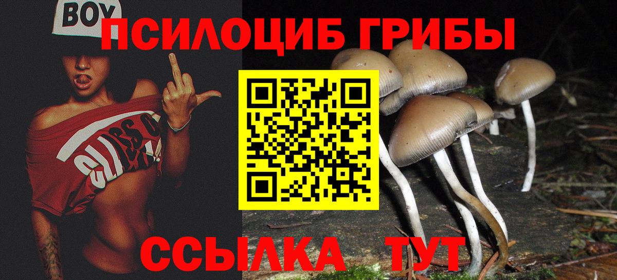 Галлюциногенные грибы прущие грибы Качканар