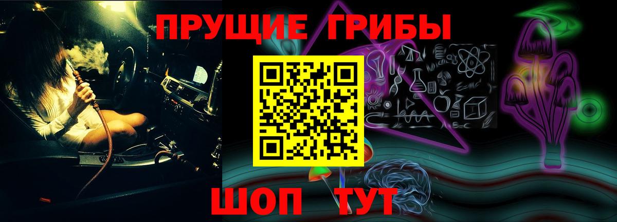 Псилоцибиновые грибы GOLDEN TEACHER  Псилоцибиновые грибы мицелий  Качканар  наркотики  Вход с VPN 
