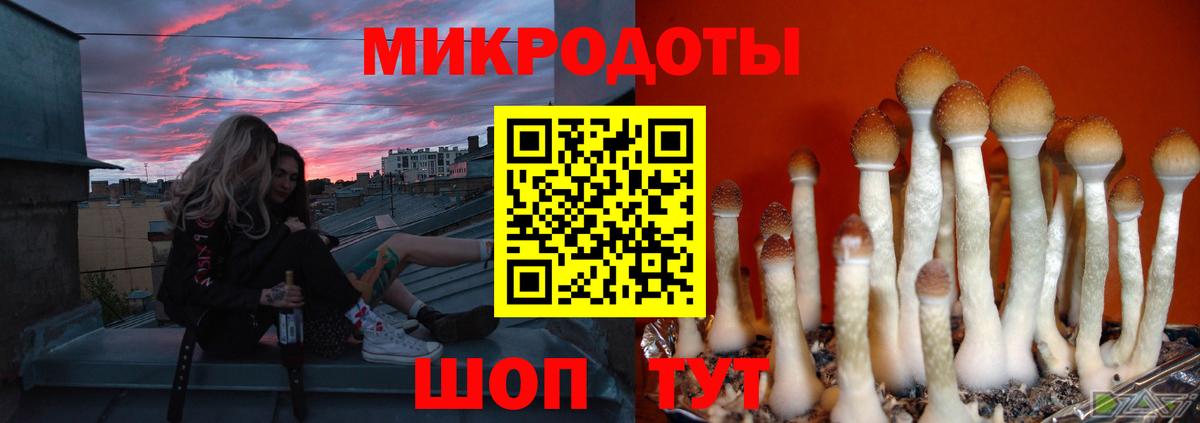 Псилоцибиновые грибы мицелий Качканар